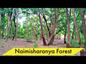Naimisharanya – The Forest of Eternal Tapas